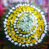 定海开业花篮