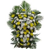 定海开业花篮