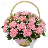 定海鲜花速递